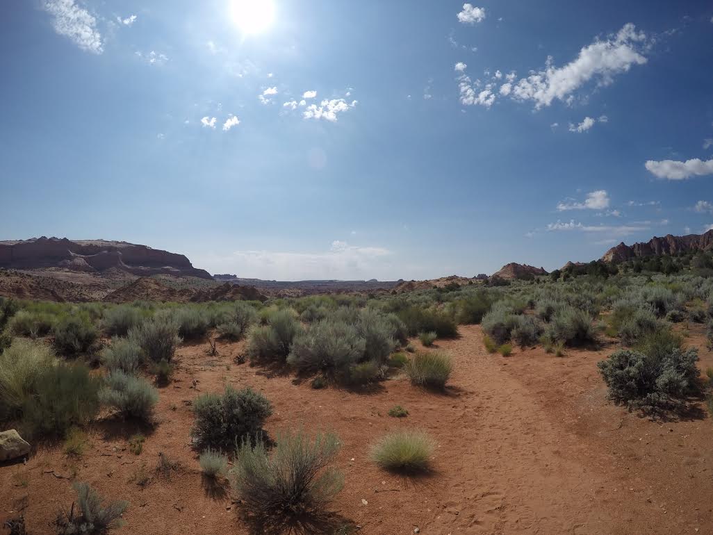 Learn about the trail, permits, and gear in this detailed guide to hiking the Wave in Arizona