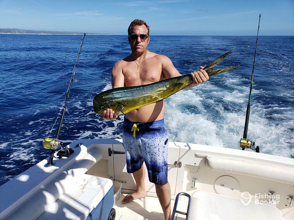 A shirtless man wearing sunglasses standing on a fishing boat out of San Jose Del Cabo on a sunnt day and holding a Mahi Mahi witht he wake of the boat visible in the deep blue waters behind him