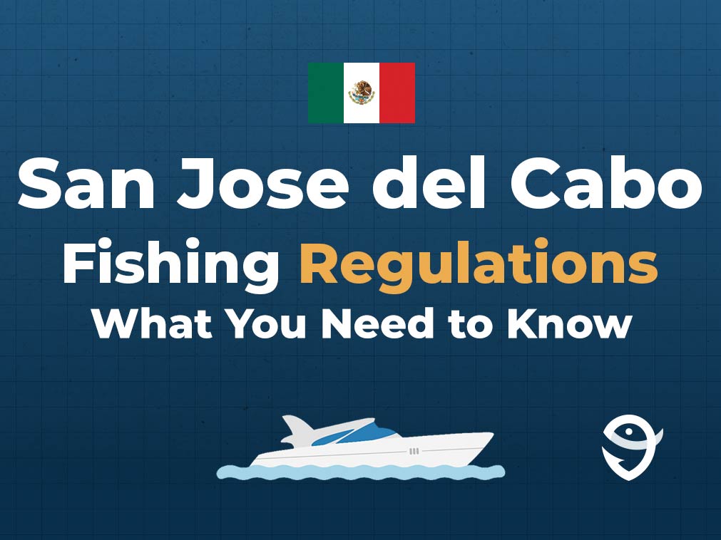 An infographic featuring the flag of Mexico followed by text that says "San Jose del Cabo Fishing Regulations What You Need to Know" along with the FishingBooker logo against a blue background