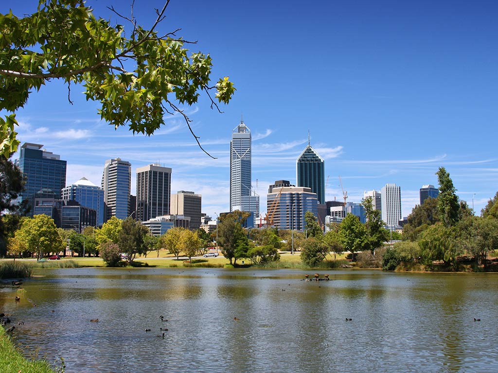 A view towards Perth's skyline on a clear day across the calm waters of a river with a tree overhanging the top left of the image