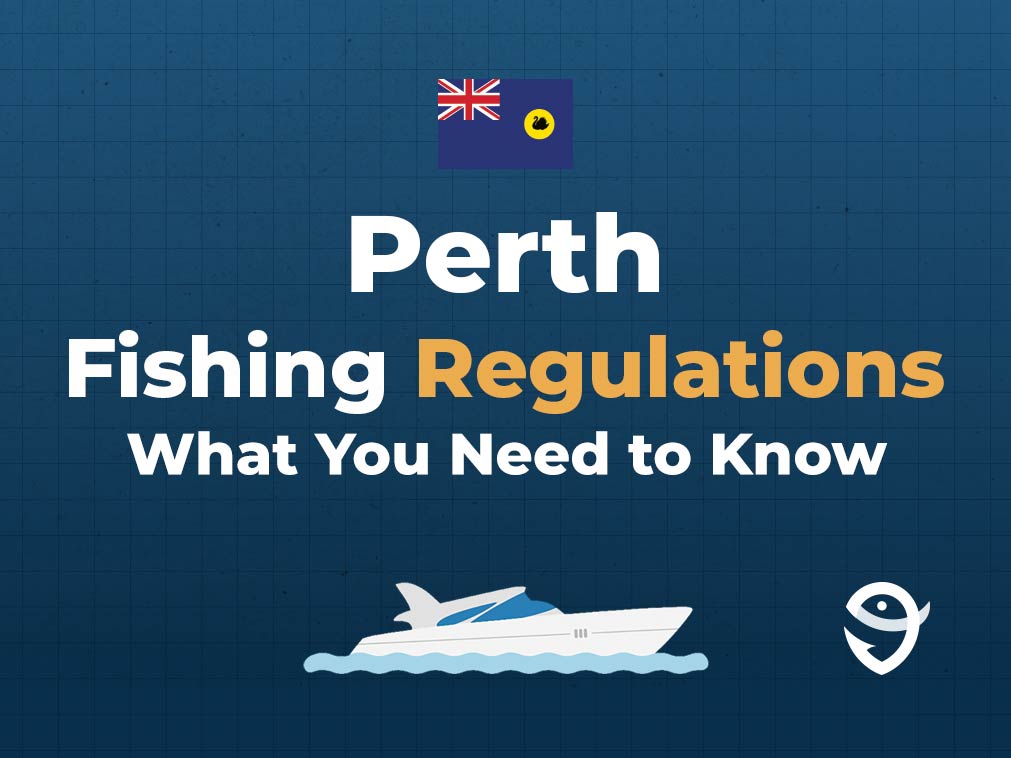 An infographic featuring the flag of Western Australia followed by text that says "Perth Fishing Regulations What You Need to Know" along with the FishingBooker logo against a blue background