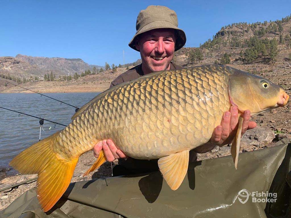 An angler next to a river in Spain on a sunny day, crouching and holding a large Carp, with water and some hills visible behind him