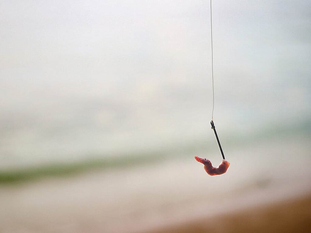 A worm dangling on a fishing hook with a beach and sea blurred behind it