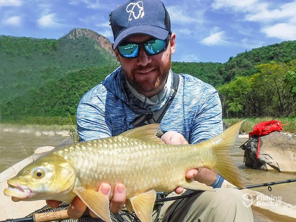 A man in a baseball cap and sunglasses kneeling down and holding a small Carp with green mountains visible behind him on a clear day