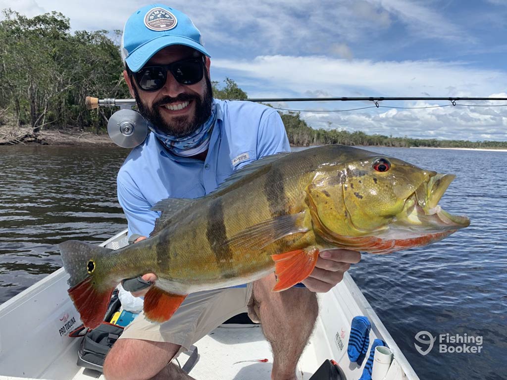 A man kneeling aboard a river fishing charter in Brazil and holding a large Peacock Bass with both hands, with a fly fishing rod around his neck on a clear day