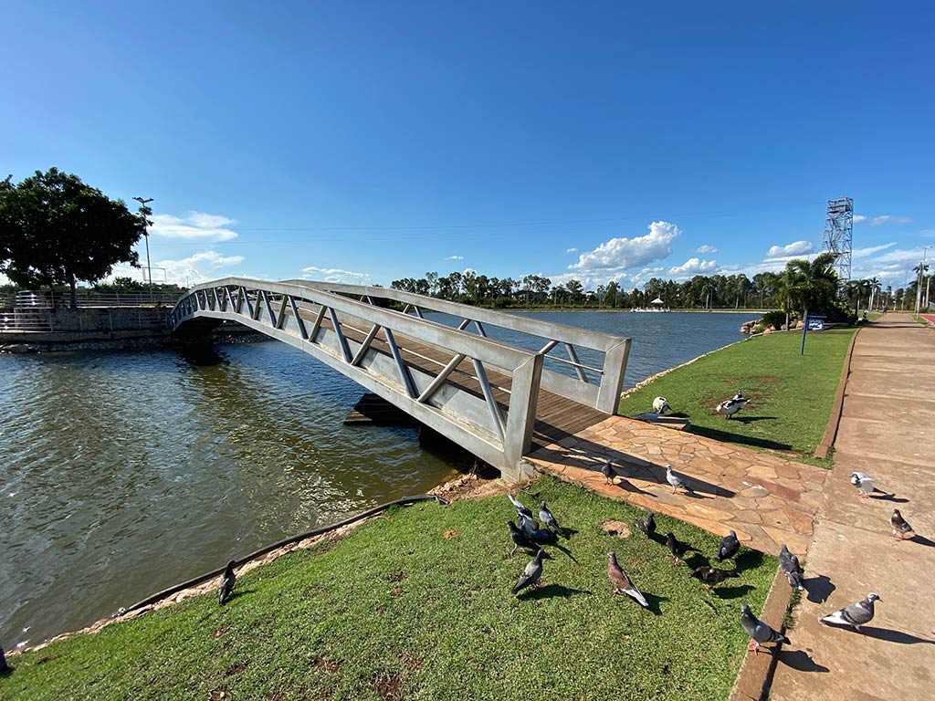 A view of a bridge over the Cuiaba River in Brazil on a clear day, with some greenery visible along the shoreline and birds in the foreground