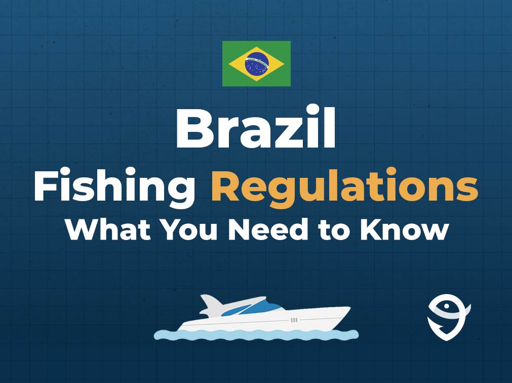 An infographic featuring the flag of Brazil followed by text that says "Brazil Fishing Regulations What You Need to Know" along with the FishingBooker logo against a blue background