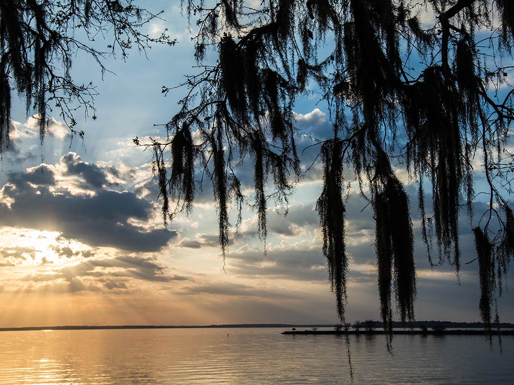 A view from shore towards Lake Livingston at sunset on a bright day, with calm waters visible and a tree overhanging the image