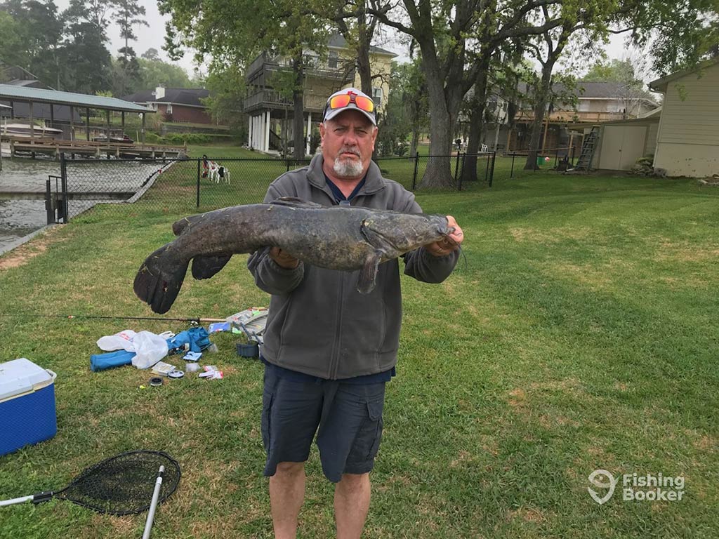 A man in shorts, a rain coat, and baseball cap standing on some grass on a cloudy day and holding a sizeable Catfish caught in Lake Livingston, with trees and a few buildings visible behind him in the distance