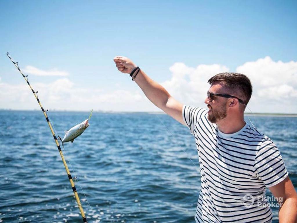 A man in a striped shirt holding a fishing line aboard a nearshore charter on a sunny day with a small Spanish Mackerel on the end of it as the angler looks at it