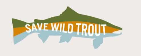 Save Wild Trout Announces Advisory Board