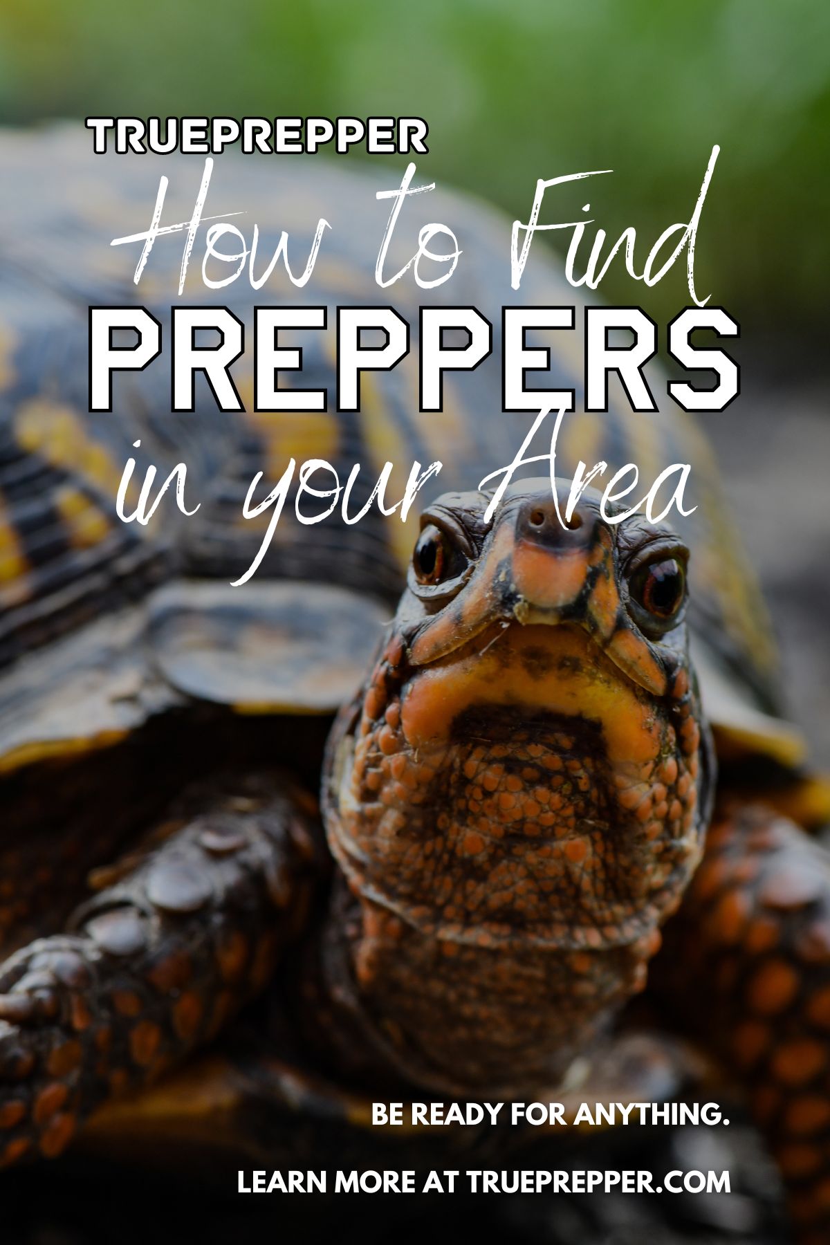 How to Find Preppers in Your Area