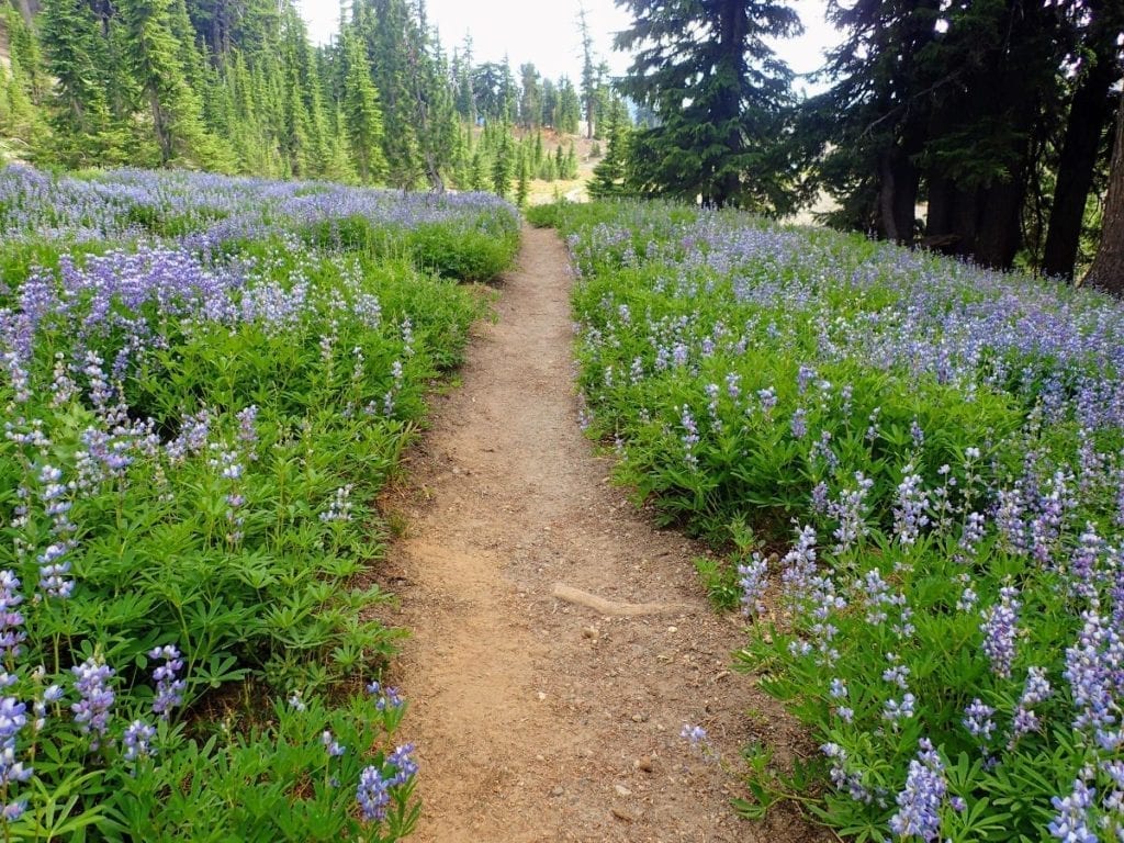 6 Beautiful Backpacking Loop Trails in the Pacific Northwest