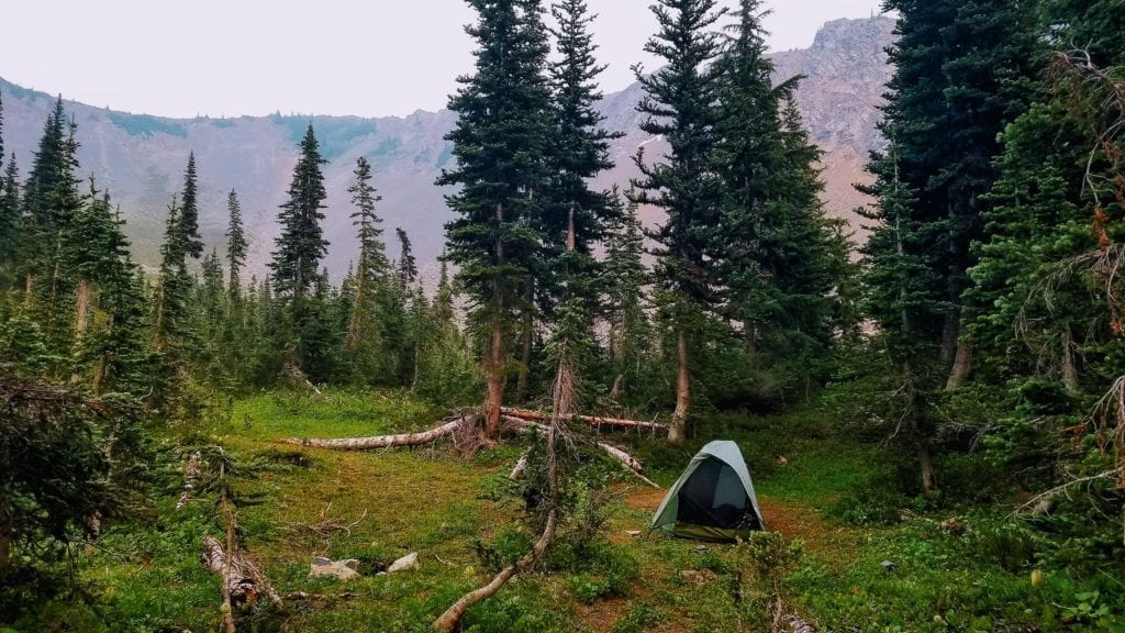 Tent in wooded campsite with mountains in background