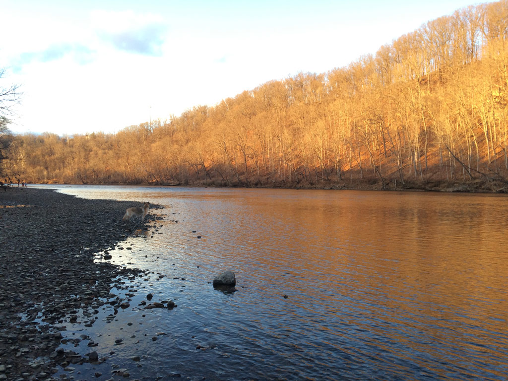 A view of sun-kissed trees along the New River near the city of Redford in Virginia, a perfect winter fishing destination during the late fall and early winter