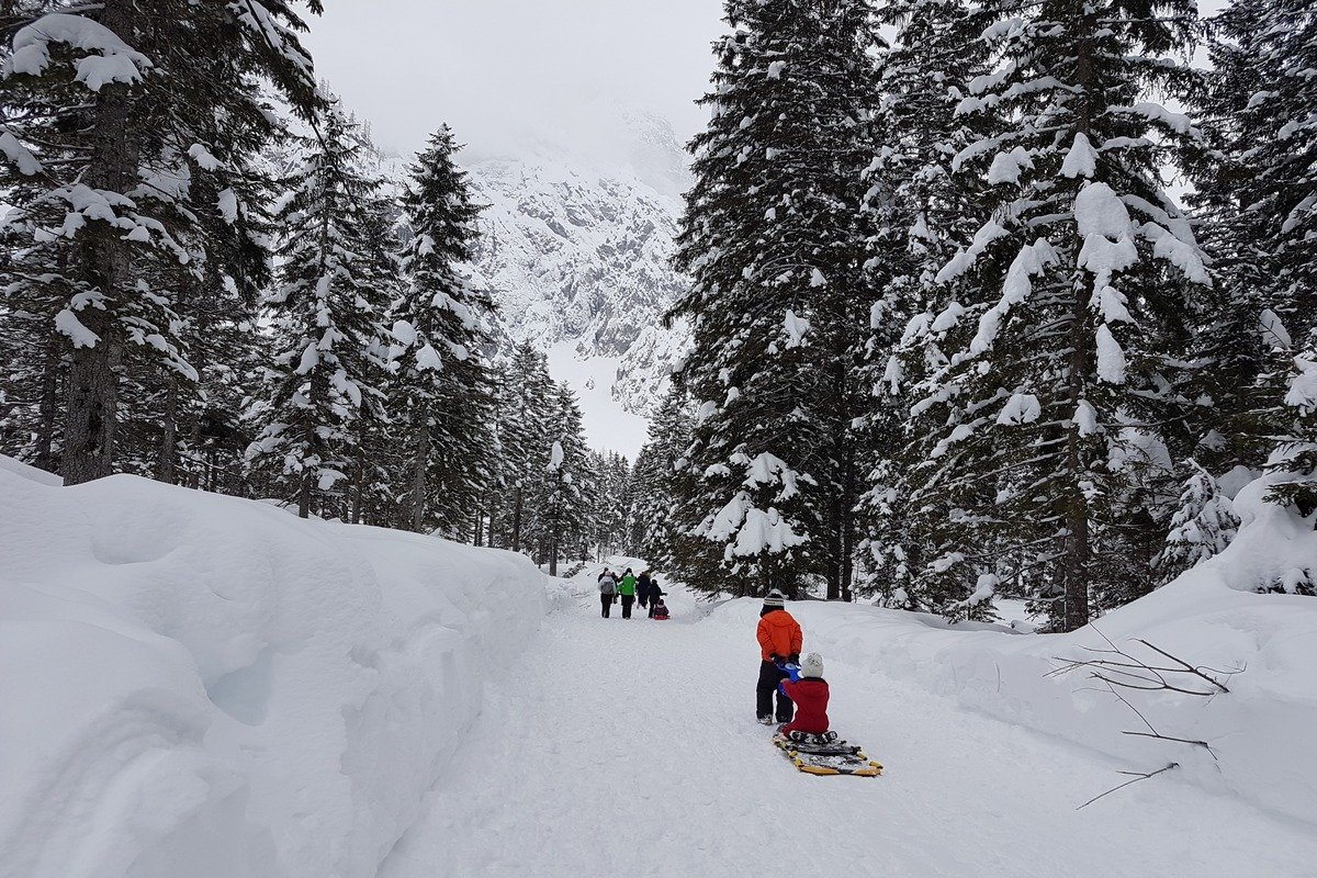 Sledding article-image1