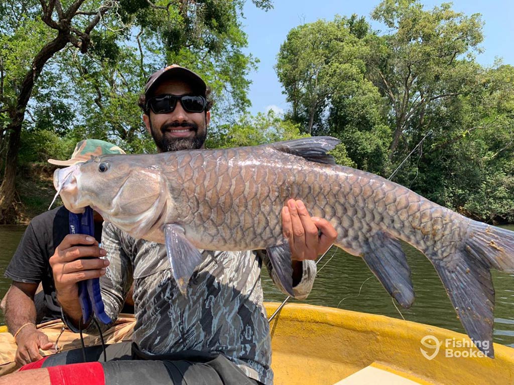 A man in a baseball cap and sunglasses standing on a yellow fishing boat in India and holding a large Mahseer fish with trees visible on the shore behind him