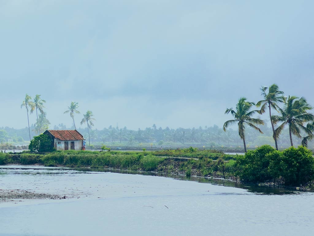 A view across a river in India towards some palm trees and a lone house during Monsoon season, with the rain battering down and the trees bending in the wind