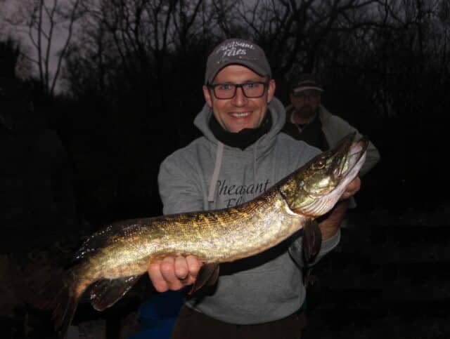 Pike from Co. Cavan, Ireland