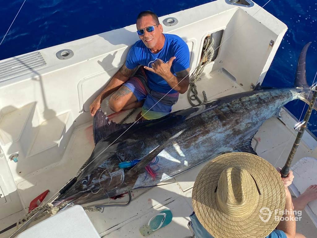 A view from a flybridge of a boat down towards the deck, where a man in a blue shirt is posing on the floor with a large Blue Marlin caught offshore