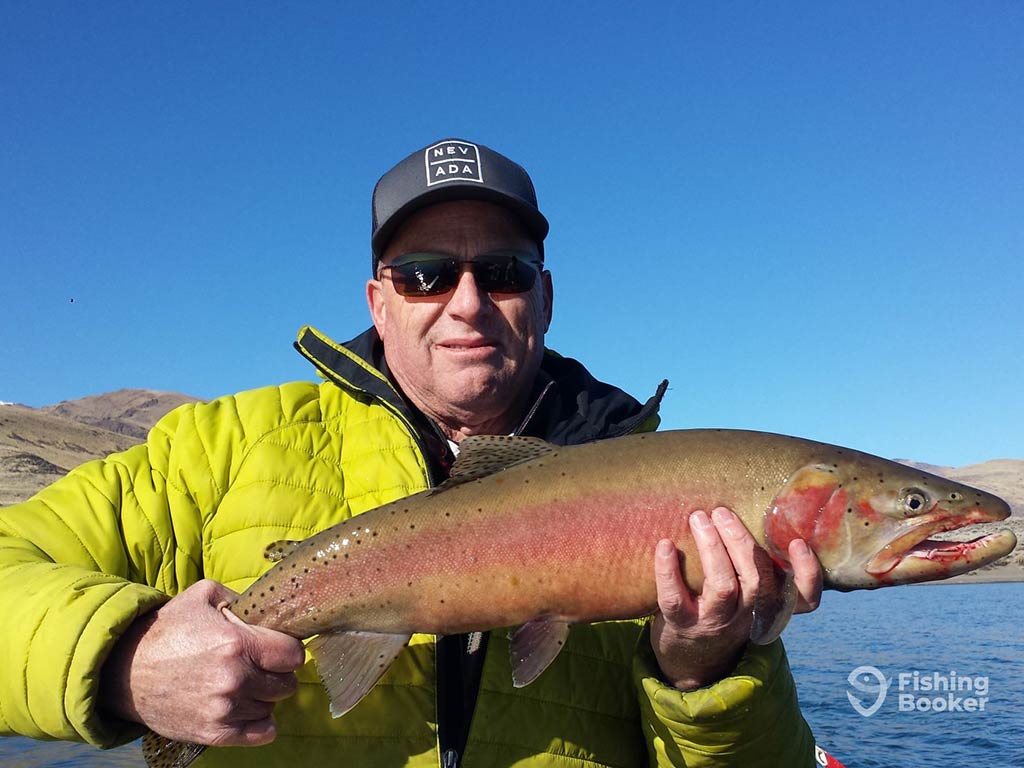 A man in a baseball cap and sunglasses standing on a fishing boat on Pyramid Lake and holding a Cutthroat Trout on a sunny day