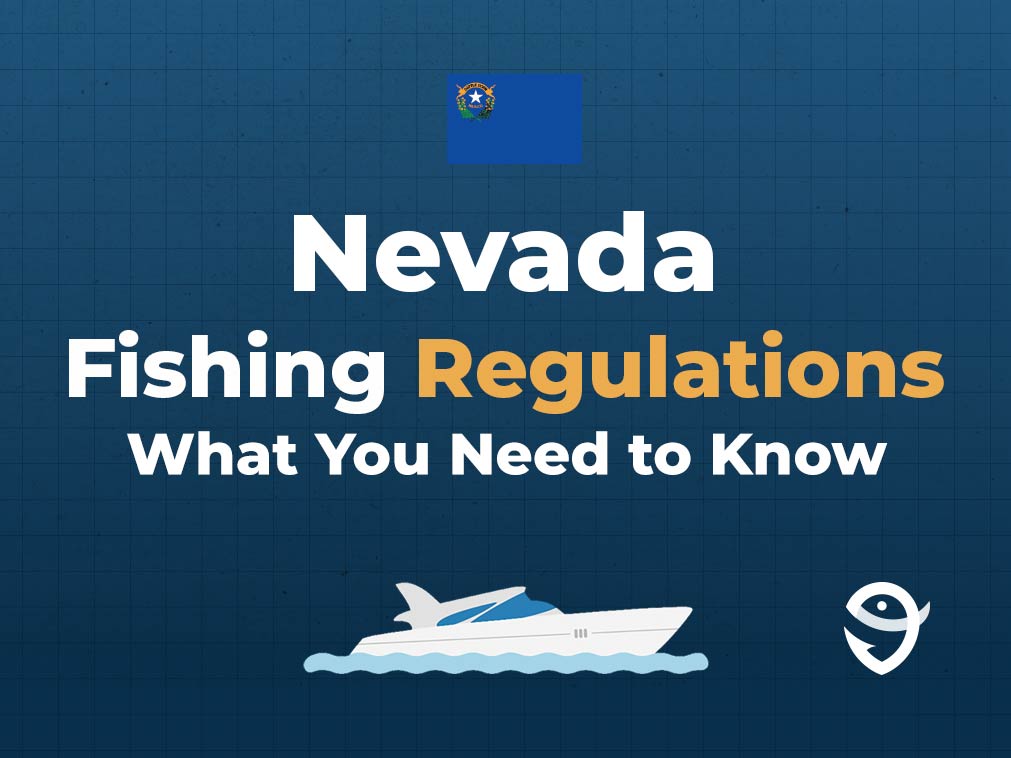 An infographic featuring the flag of Nevada followed by text that says "Nevada Fishing Regulations What You Need to Know" along with the FishingBooker logo against a blue background