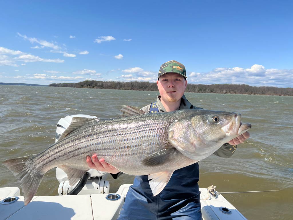 An angler sitting on a boat holding a massive Striped Bass he caught on a fishing charter in the Chesapeake Bay, with murky waters and clear skies behind him.