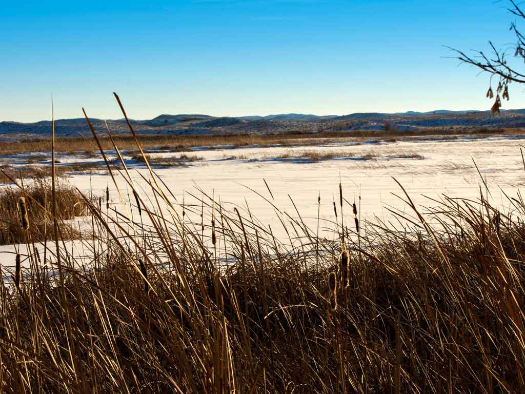 A view of the marshes and prairie grass in Valentine National Wildlife Refuge on a clear, sunny day, with reeds visible in the foreground.