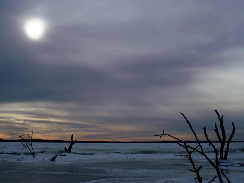 A view of the frozen Devils Lake in North Dakota, with tree branches sticking out of the water and the sun shining through dark, heavy clouds.