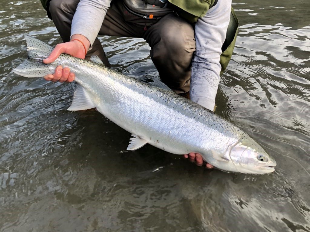 Pacific Angler Friday Fishing Report: December 8, 2023
