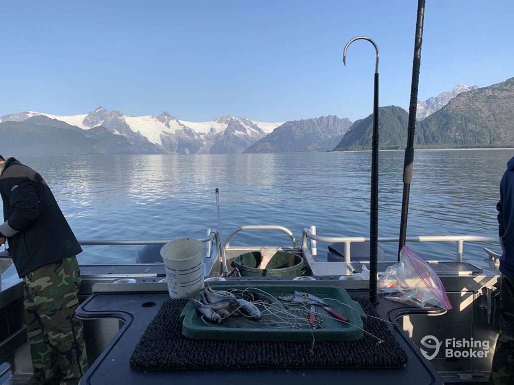 A view out the back of a fishing boat in Seward, Alaska looking across the water towards a mountain covered in snow, with a table visible in the foreground including bait fish, lines, and ore fishing gear