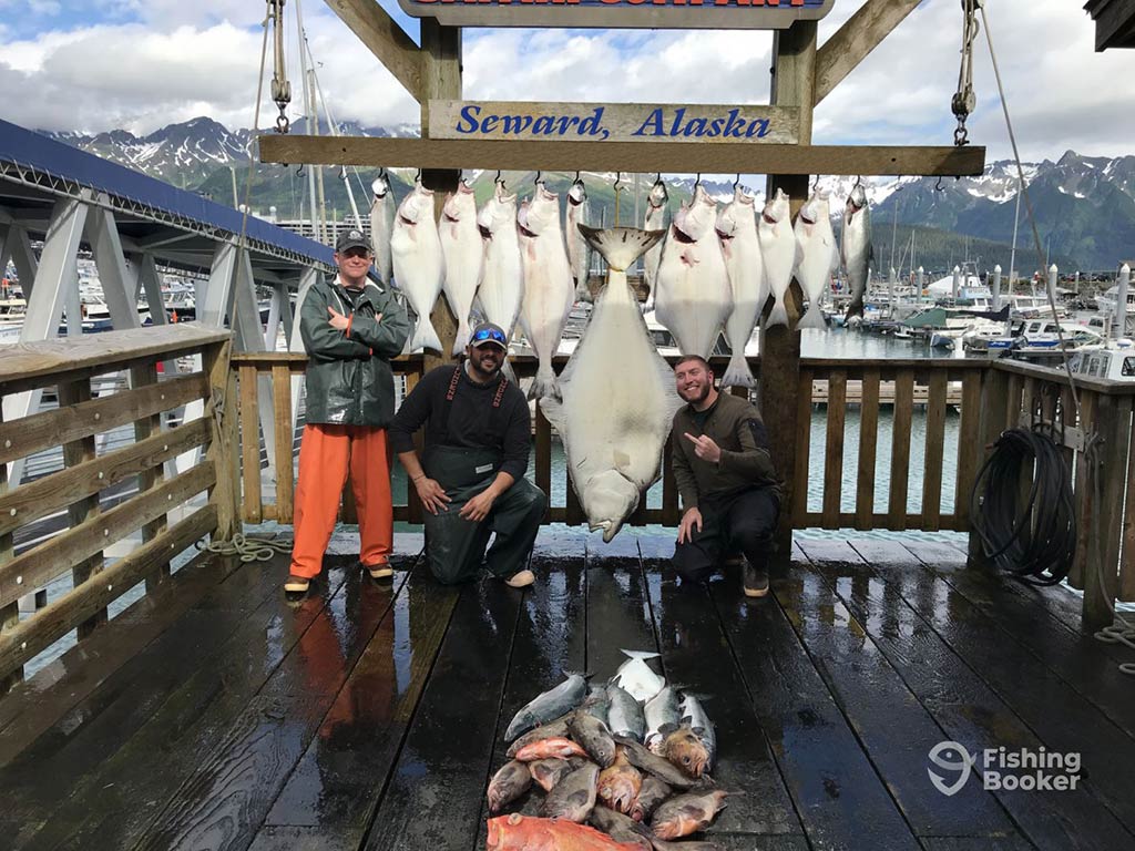 Two men crouching and another man standing on a dock after a successful fishing trip, in front of a wooden board with text saying "Seward, Alaska" with a number of Halibut hanging from it