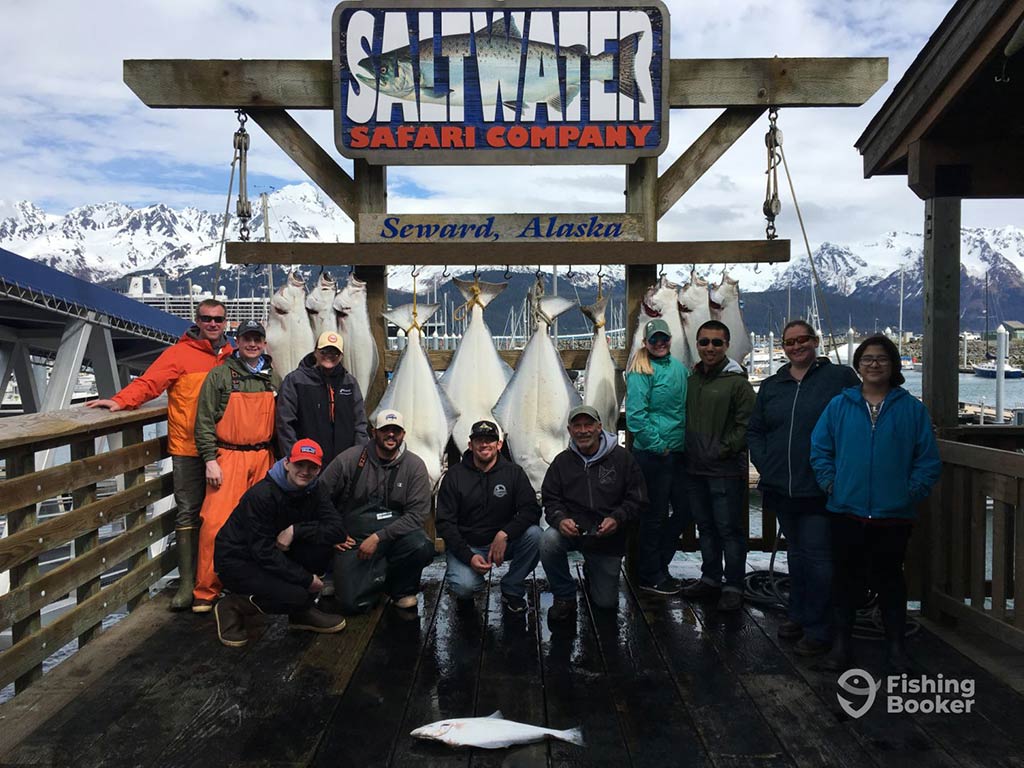 A large group of male anglers standing and crouching on a wooden dock, posing in front of a board including text saying "Saltwater Safari Company, Seward, Alaska" with nine Halibut fish hanging from it and snow-capped mountains visible in the distance