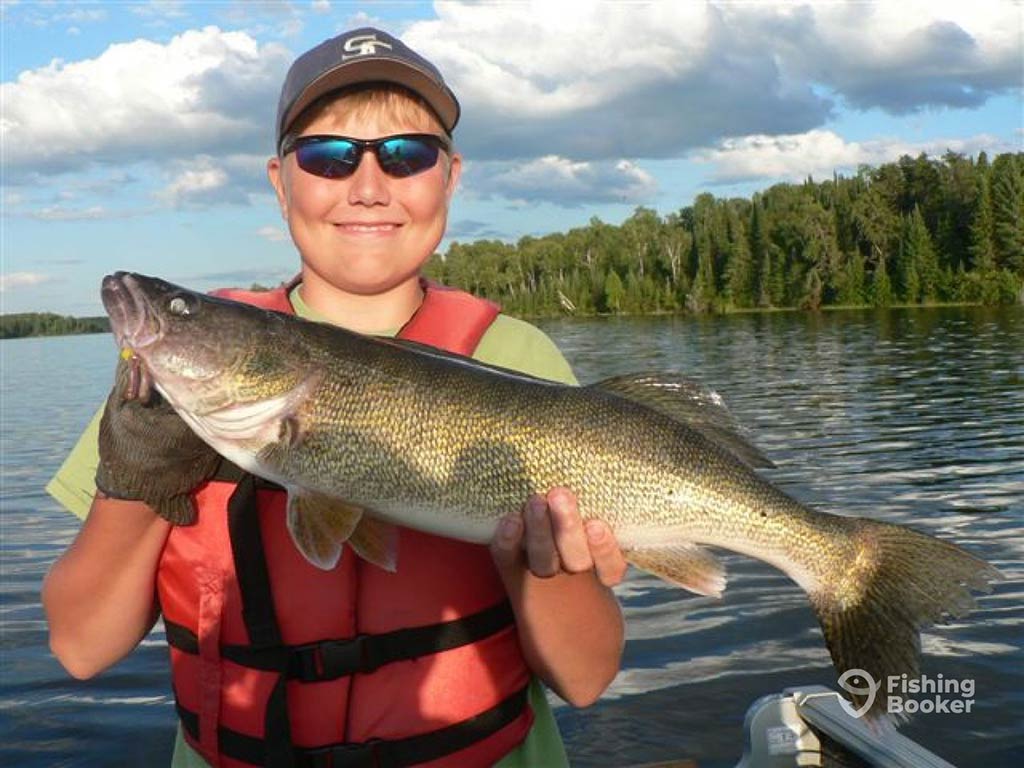 A young boy in sunglasses and a baseball cap holding a Walleye aboard a boat on Lake Winnipeg with a tree-lined shore visible in the distance behind him