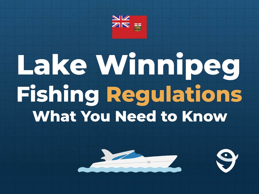 An infographic featuring the flag of Manitoba, a vector of a boat, and the FishingBooker logo, along with text stating "Lake Winnipeg Fishing Regulations: What You Need to Know" against a blue background