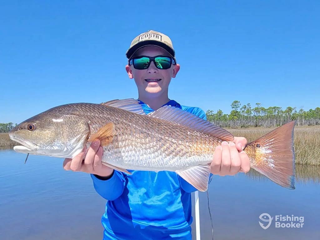 A young boy in a blue shirt, sunglasses, and a baseball cap standing on a fishing boat in the calm inshore waters of Panama City and holding a large Redfish on a clear day