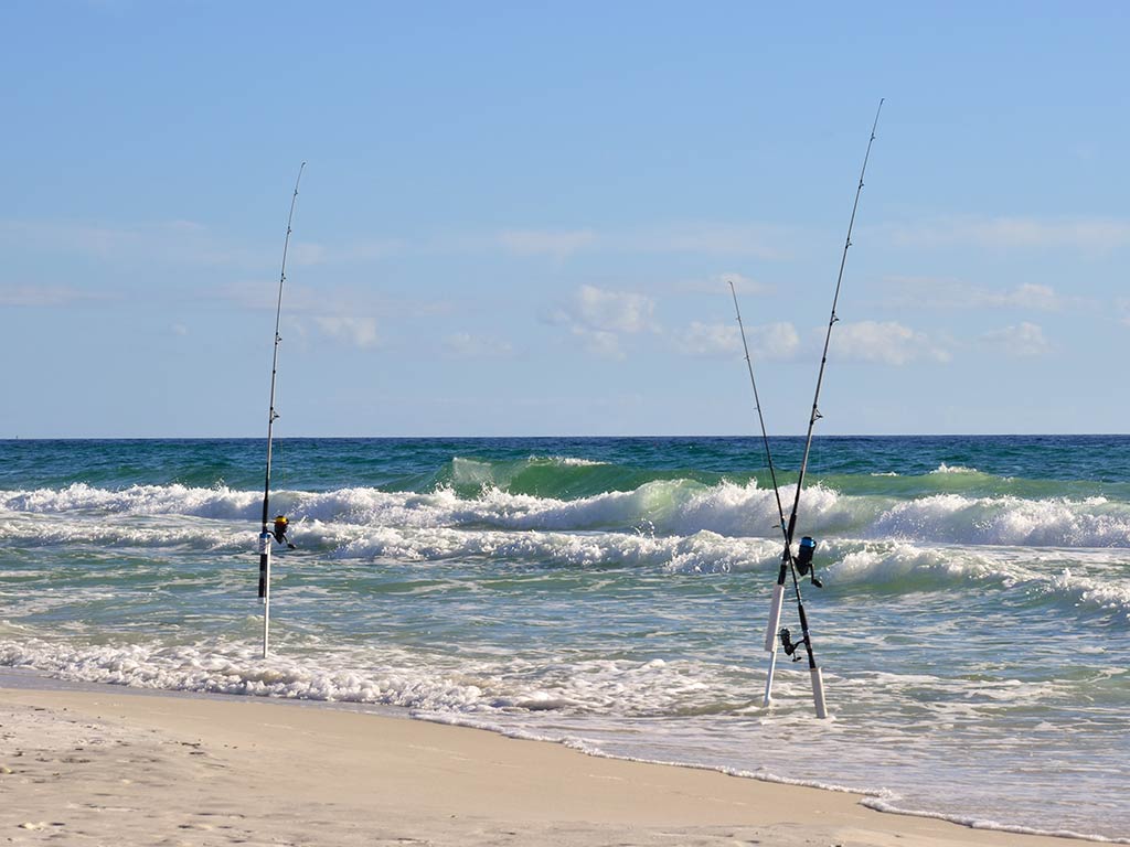 Three rods perched in the sand near Panama City, casting lines into the surf on a blustry day