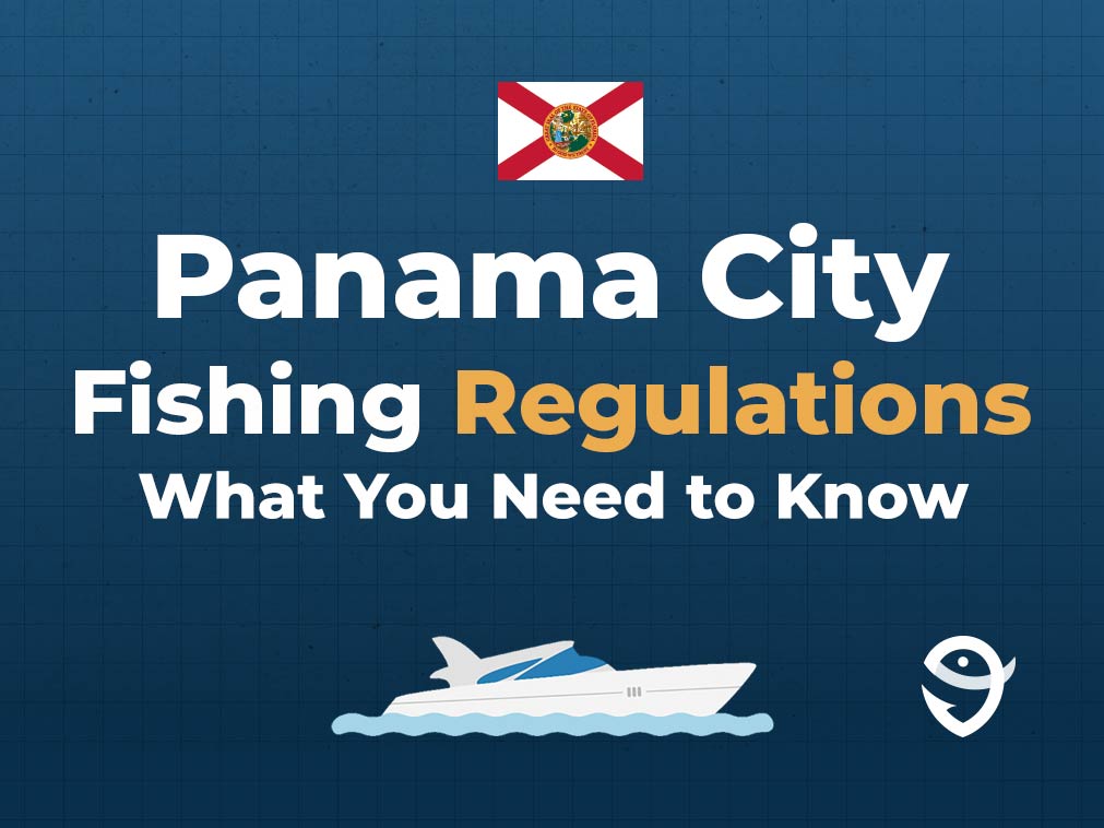 An infographic featuring the flag of Florida, a vector of a boat, and the FishingBooker logo, along with text stating "Panama City Fishing Regulations: What You Need to Know" against a blue background