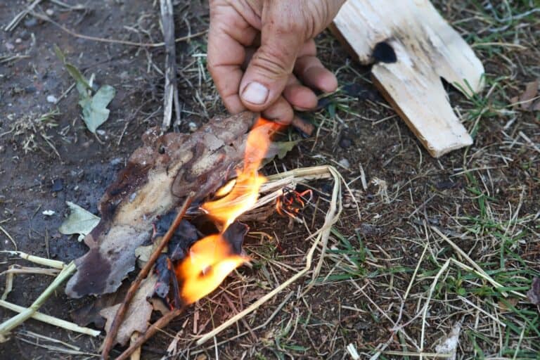 dumping hand drill ember on firewood