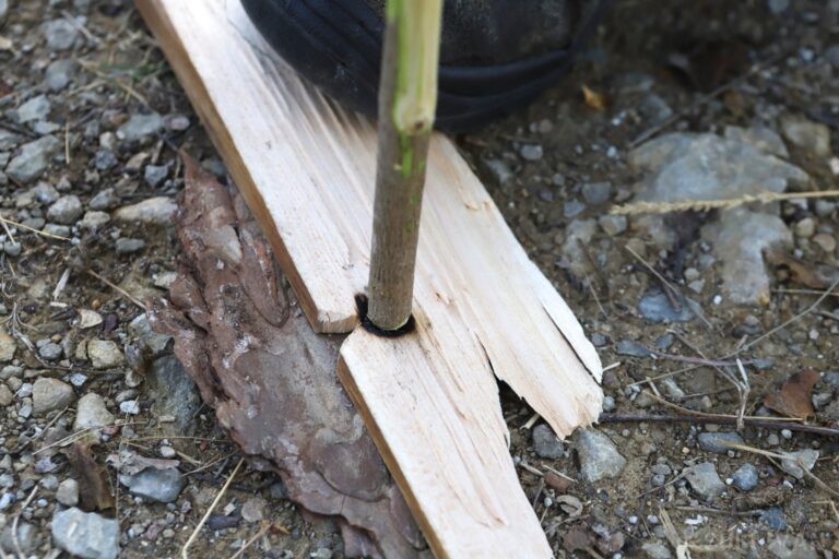 placing drill on hearth