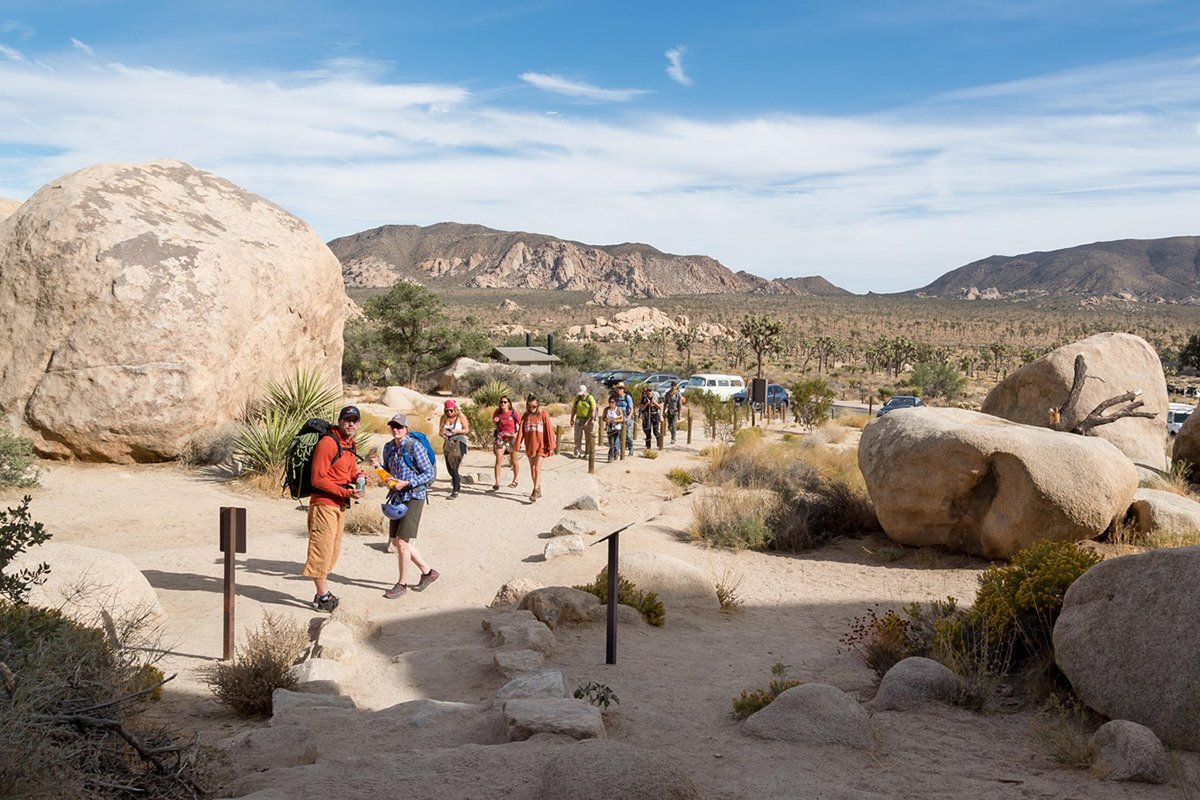 best-things-to-do-in-joshua-tree-winter