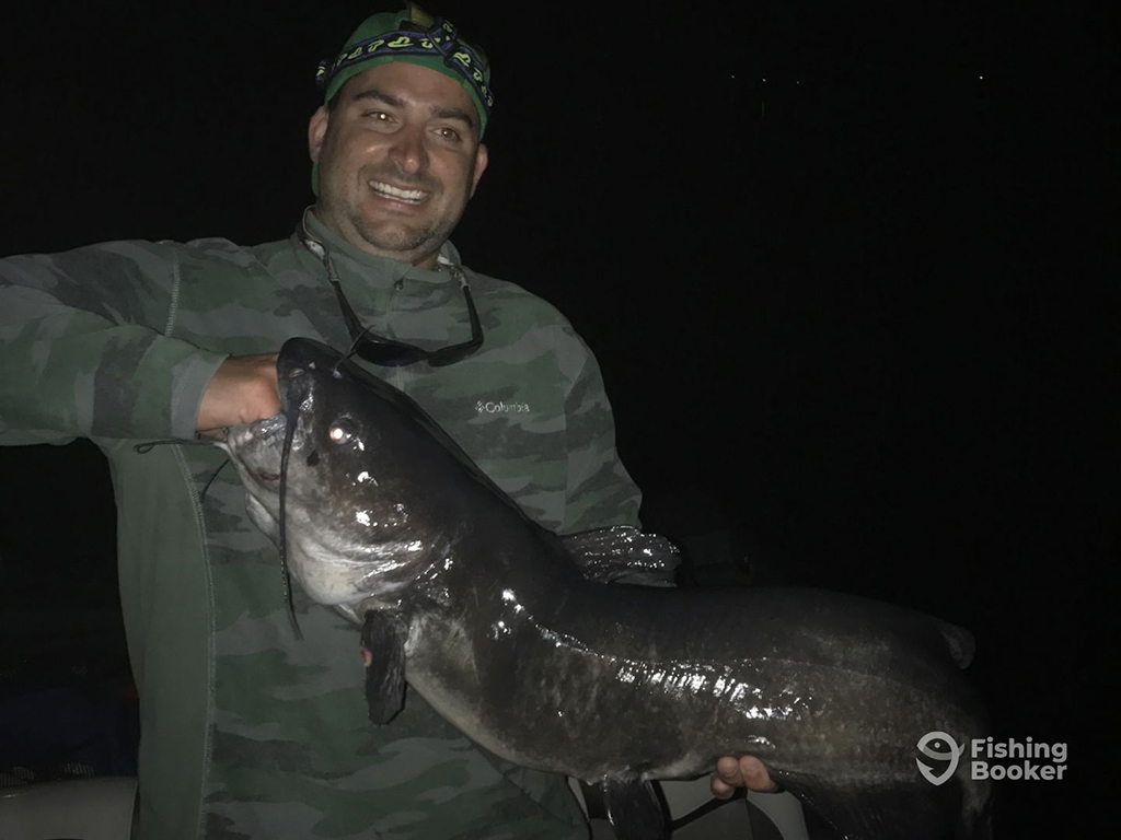 A happy angler in a camouflage jumper with sunglasses around his neck holding a large Catfish with one hand in its mouth at nighttime