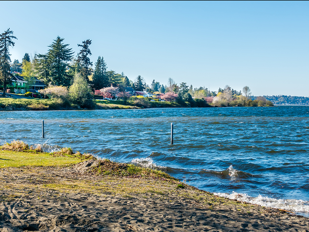 A view towards the river from Lake Washington's shoreline with small waves on a sunny day, along with evergreen trees in the background