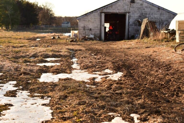 barn with eroded ground in front during winter