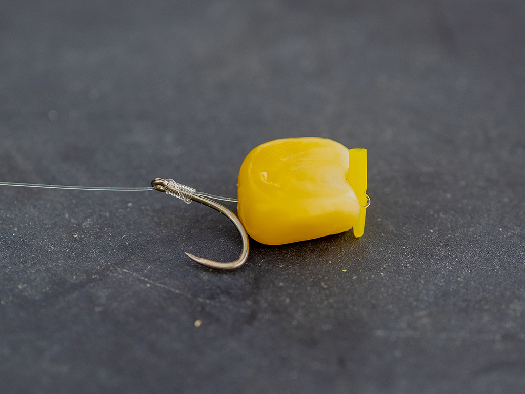 A closeup of a single corn bait for Carp attached to a fishing hook with a push stop against a gray background