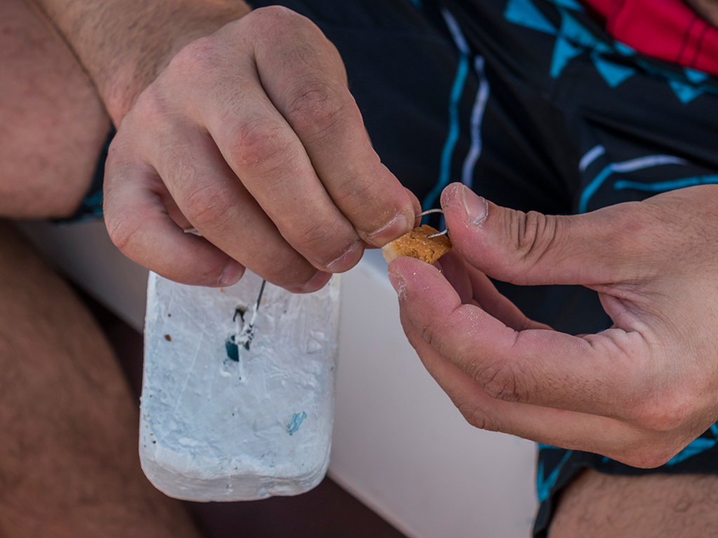 A close up of person's hands attaching a small piece of bread to a fishing hook to catch Carp