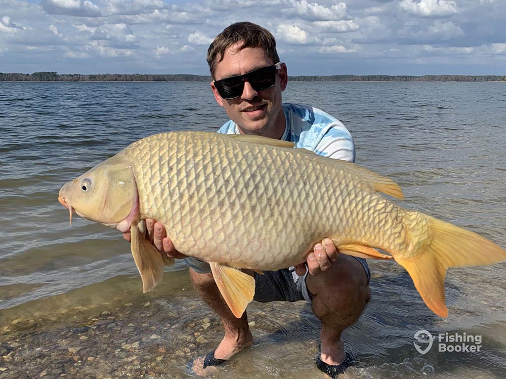 An angler crouching in a lake in Texas on a clear day and holding a sizeable Carp with the waters of the lake surrounding them