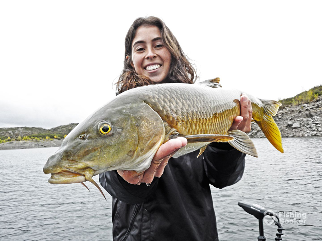 A happy woman on a lake holding a shiny Carp with the trolling motor of a boat visible in the background and the shoreline in view behind her