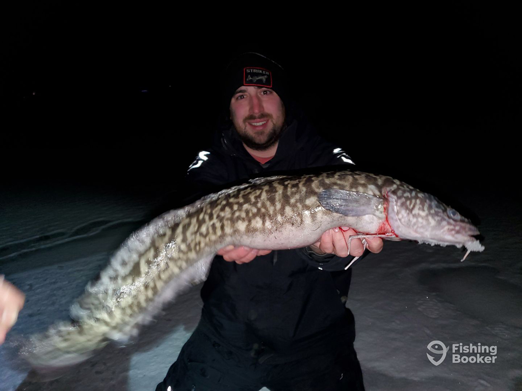 An angler in a winter hat on an icy lake at night holding a large Burbot caught while ice fishing