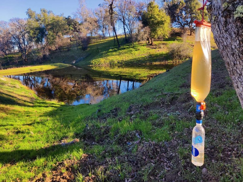The Best Ways to Carry Water While Backpacking